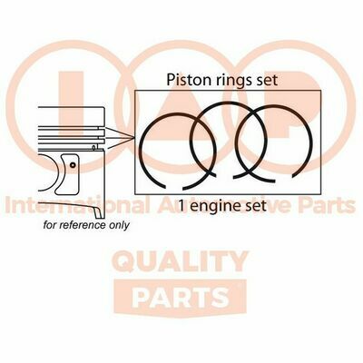 IAP QUALITY PARTS 102-12023 Fascia Elastica
