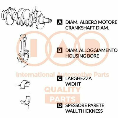 IAP QUALITY PARTS 105-13080 Cuscinetto Albero a Gomiti