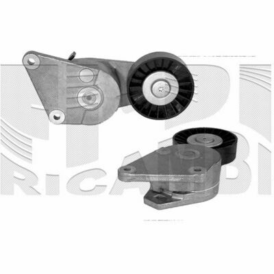 FI6390 Tendicinghia, Cinghia Poly-V