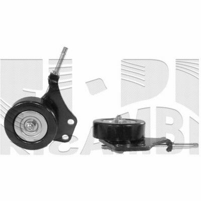 FI10810 Tendicinghia, Cinghia Poly-V