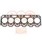 IAP QUALITY PARTS 118-13073 Guarnizione testata per Renault 134