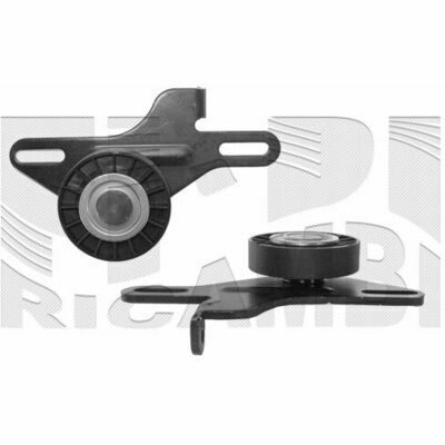 FI6010 Tendicinghia, Cinghia Poly-V